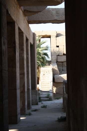 En Dahabiya, por el Nilo, con otros ojos - Blogs de Egipto - 2do. Dia. Los perros me tienen manía. (26)